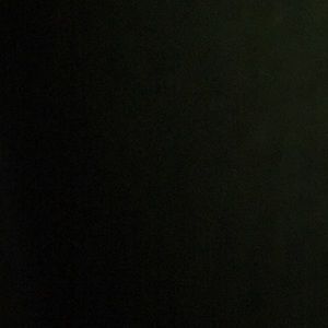 Meet your Posher, Vividiana